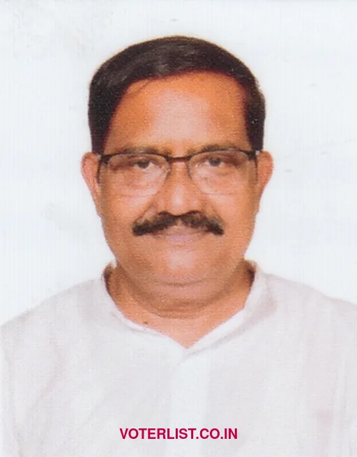 Bidyut Kumar Roy