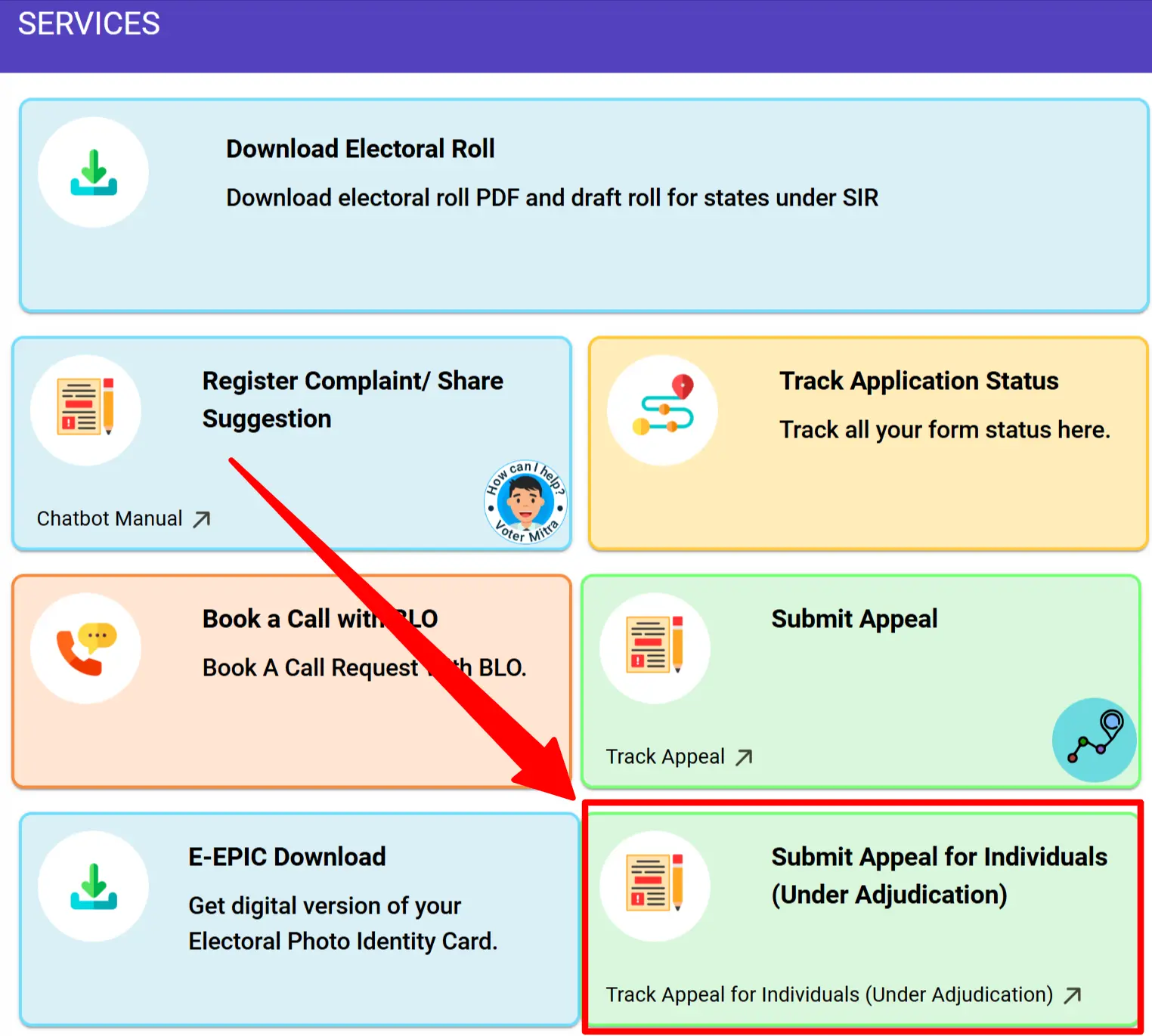 Submit Appeal for Individual